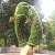 Atlanta Botanical Gardens