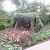 Atlanta Botanical Gardens